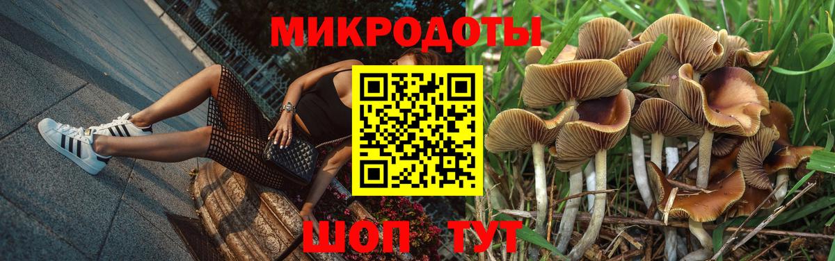 Заринск  Псилоцибиновые грибы MAGIC MUSHROOMS  Вход с VPN 